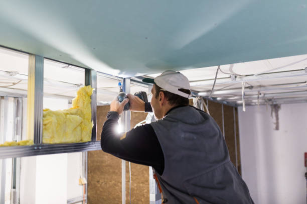 Best Commercial Insulation Services  in Boiling Springs, NC