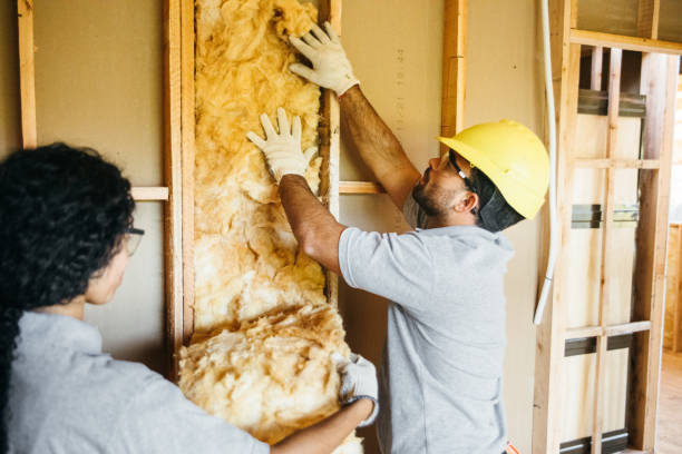 Best Wall Insulation Installation  in Boiling Springs, NC