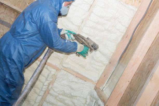 Best Spray Foam Insulation  in Boiling Springs, NC